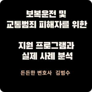 보복운전 및 교통범죄 피해자