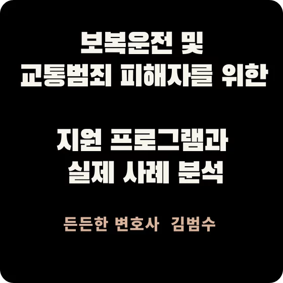 보복운전 및 교통범죄 피해자